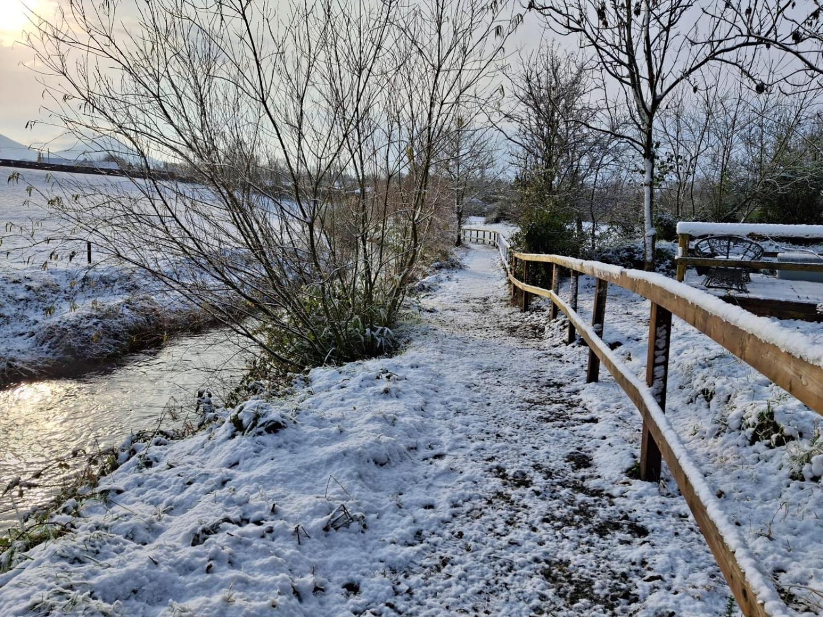 Riverside Cabin Limerick Luaran gambar