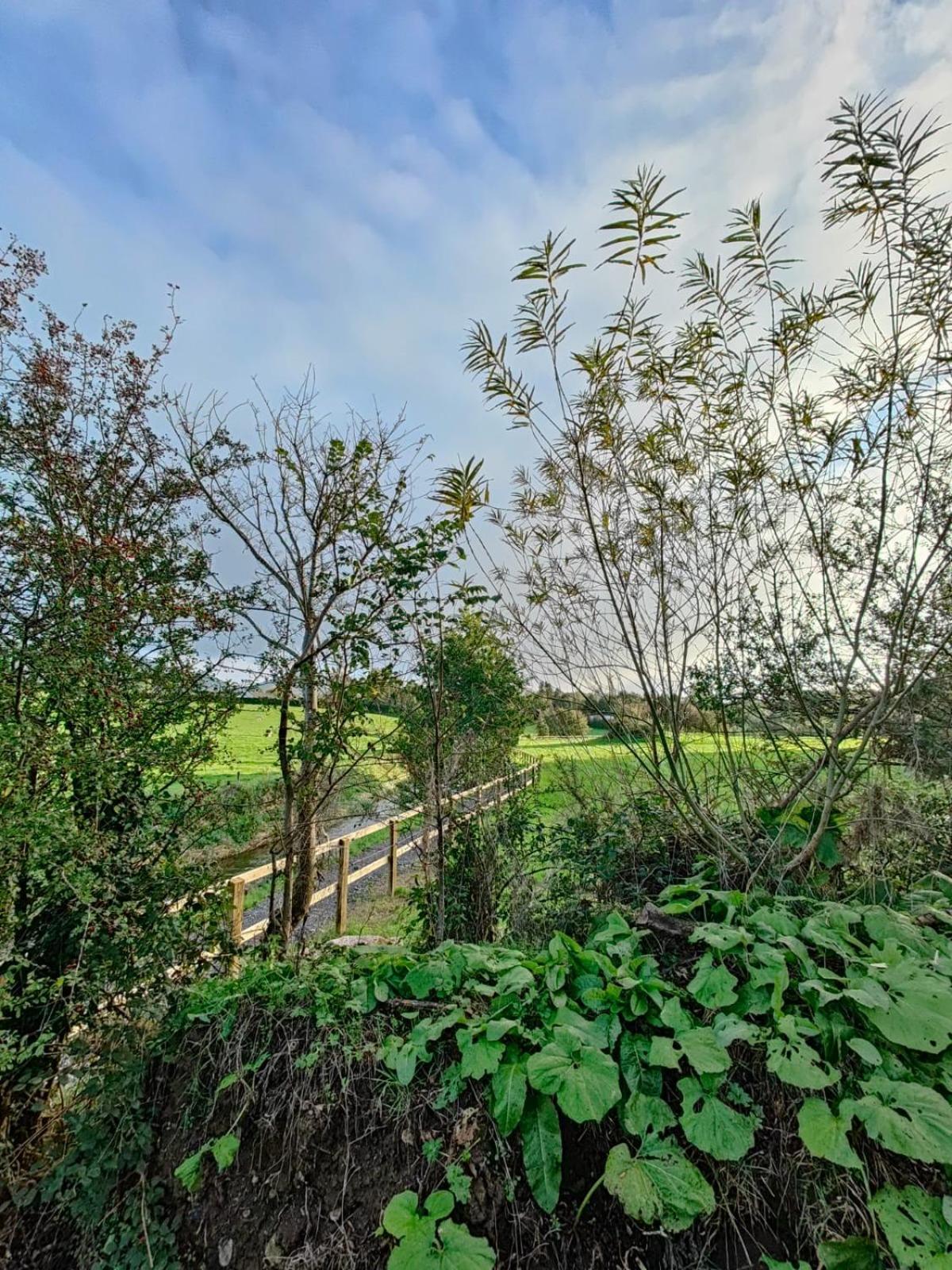 Riverside Cabin Limerick Luaran gambar